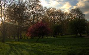 The Green Park, London